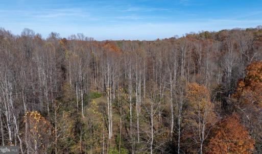Photo #25 of PINE TORCH, MADISON, VA 3.0 acres