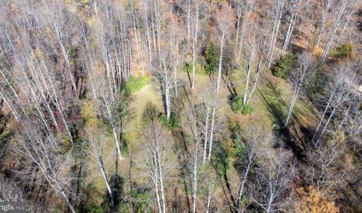 Photo #26 of PINE TORCH, MADISON, VA 3.0 acres