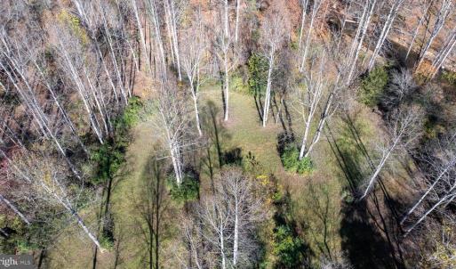 Photo #27 of PINE TORCH, MADISON, VA 3.0 acres