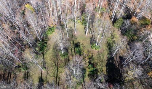 Photo #28 of PINE TORCH, MADISON, VA 3.0 acres