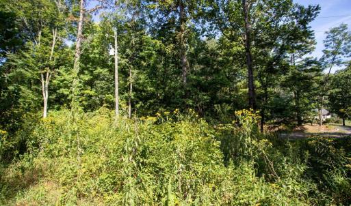 Photo #10 of JACKSON LANE, BOSTON, VA 10.0 acres
