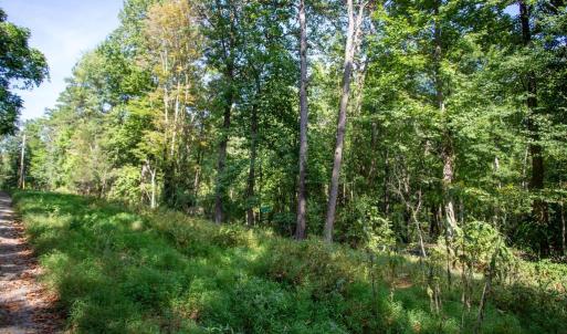 Photo #12 of JACKSON LANE, BOSTON, VA 10.0 acres