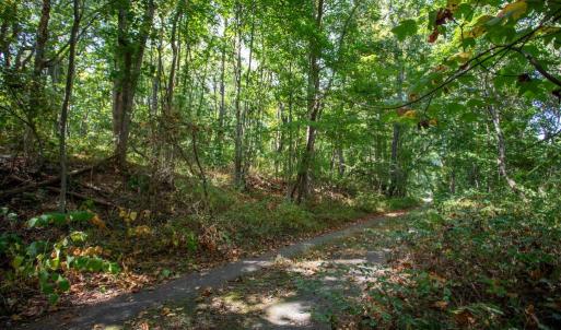 Photo #15 of JACKSON LANE, BOSTON, VA 10.0 acres
