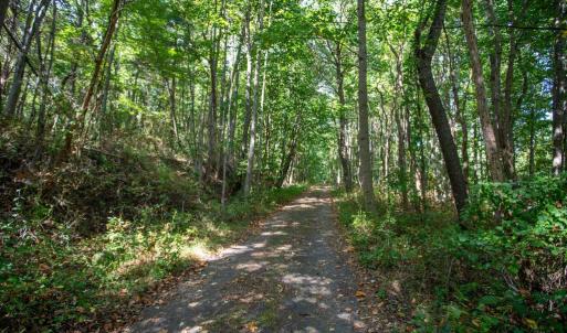 Photo #16 of JACKSON LANE, BOSTON, VA 10.0 acres