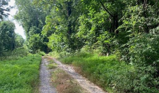 Photo #2 of JACKSON LANE, BOSTON, VA 10.0 acres