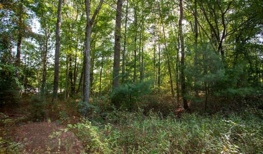 Photo #7 of JACKSON LANE, BOSTON, VA 10.0 acres