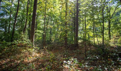 Photo #8 of JACKSON LANE, BOSTON, VA 10.0 acres
