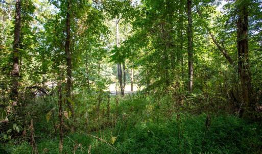 Photo #9 of JACKSON LANE, BOSTON, VA 10.0 acres