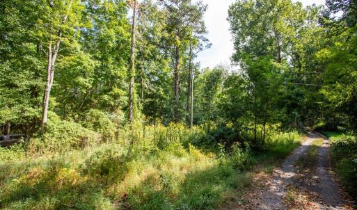 Photo #11 of JACKSON LANE, BOSTON, VA 10.0 acres