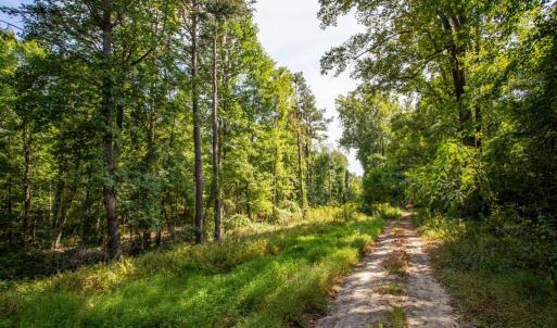 Photo #13 of JACKSON LANE, BOSTON, VA 10.0 acres