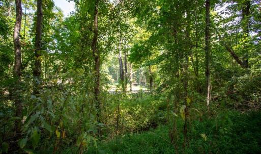 Photo #14 of JACKSON LANE, BOSTON, VA 10.0 acres