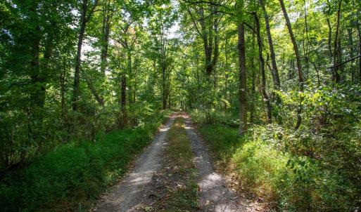 Photo #17 of JACKSON LANE, BOSTON, VA 10.0 acres