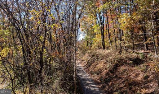 Photo #26 of JACKSON LANE, BOSTON, VA 10.0 acres