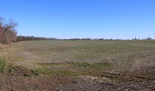 Photo #16 of 4249 MIDLAND RD, MIDLAND, VA 120.3 acres