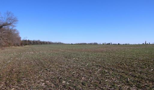 Photo #17 of 4249 MIDLAND RD, MIDLAND, VA 120.3 acres