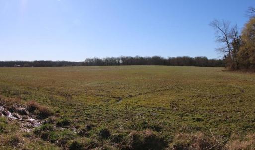 Photo #19 of 4249 MIDLAND RD, MIDLAND, VA 120.3 acres