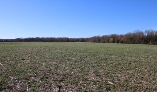 Photo #20 of 4249 MIDLAND RD, MIDLAND, VA 120.3 acres