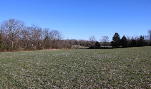 Photo #21 of 4249 MIDLAND RD, MIDLAND, VA 120.3 acres