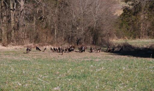 Photo #24 of 4249 MIDLAND RD, MIDLAND, VA 120.3 acres