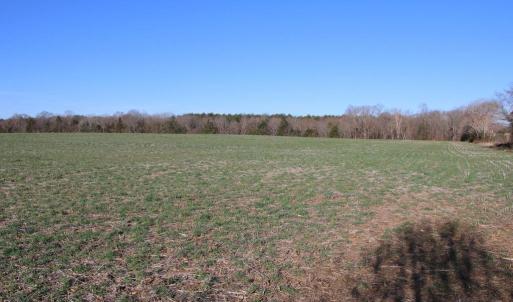 Photo #25 of 4249 MIDLAND RD, MIDLAND, VA 120.3 acres