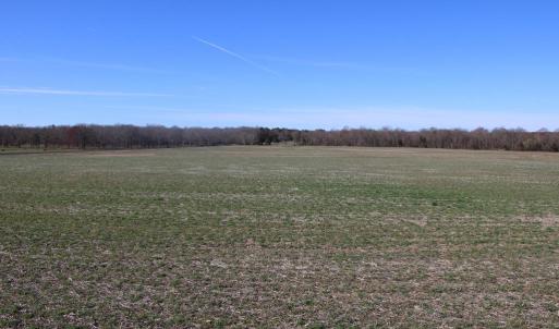Photo #26 of 4249 MIDLAND RD, MIDLAND, VA 120.3 acres