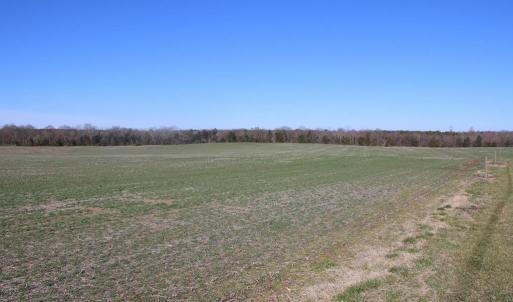Photo #27 of 4249 MIDLAND RD, MIDLAND, VA 120.3 acres