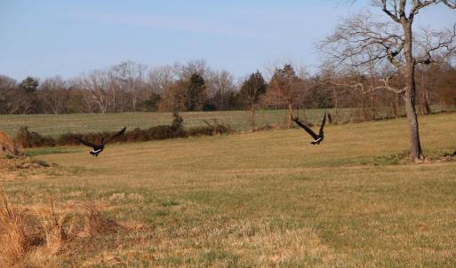 Photo #49 of 4249 MIDLAND RD, MIDLAND, VA 120.3 acres