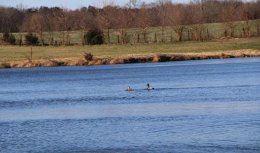 Photo #50 of 4249 MIDLAND RD, MIDLAND, VA 120.3 acres