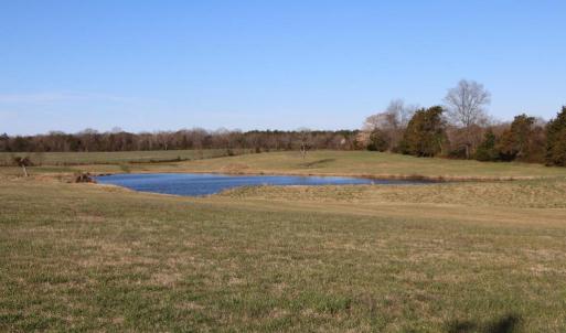 Photo #53 of 4249 MIDLAND RD, MIDLAND, VA 120.3 acres
