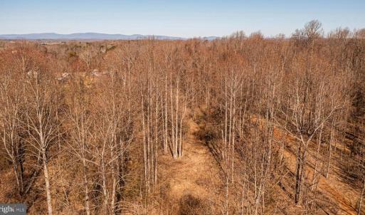 Photo #17 of 8158 BOTHA RD, WARRENTON, VA 26.5 acres