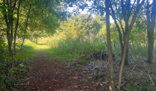 Photo #4 of JAMES MADISON HWY, GORDONSVILLE, VA 7.4 acres
