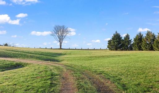 Photo #2 of 6602 SUNRISE BAY DR, MINERAL, VA 2.9 acres
