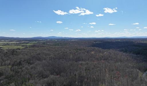Photo #26 of TANNERS, ORANGE, VA 40.0 acres