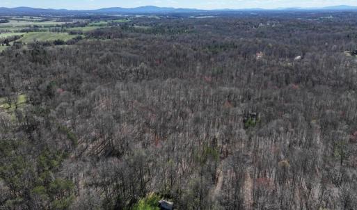 Photo #8 of TANNERS, ORANGE, VA 40.0 acres