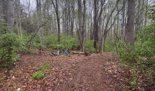 Photo #3 of OLD STILLHOUSE RD, CULPEPER, VA 5.6 acres
