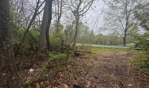 Photo #4 of OLD STILLHOUSE RD, CULPEPER, VA 5.6 acres