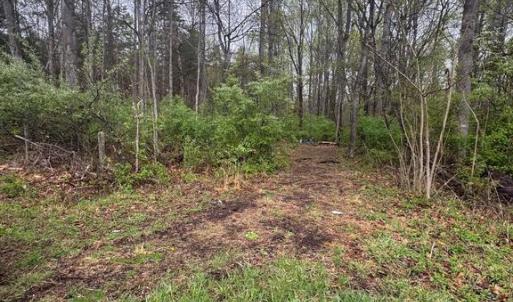 Photo #5 of OLD STILLHOUSE RD, CULPEPER, VA 5.6 acres