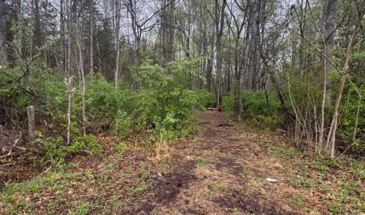 Photo #1 of OLD STILLHOUSE RD, CULPEPER, VA 5.6 acres