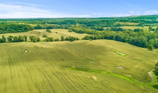 Photo #14 of 8160 FROGTOWN RD, MARSHALL, VA 450.0 acres