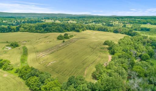 Photo #18 of 8160 FROGTOWN RD, MARSHALL, VA 450.0 acres