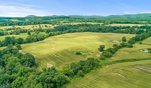 Photo #25 of 8160 FROGTOWN RD, MARSHALL, VA 450.0 acres