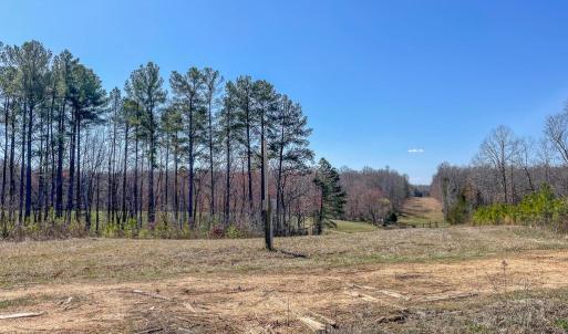 Photo #6 of YELLOWBOTTOM RD, LIGNUM, VA 115.0 acres