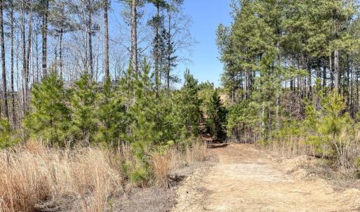 Photo #5 of YELLOWBOTTOM RD, LIGNUM, VA 115.0 acres