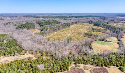 Photo #12 of YELLOWBOTTOM RD, LIGNUM, VA 115.0 acres