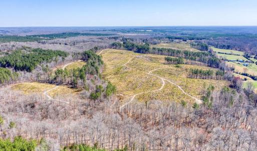 Photo #16 of YELLOWBOTTOM RD, LIGNUM, VA 115.0 acres