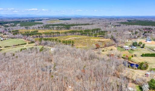 Photo #10 of YELLOWBOTTOM RD, LIGNUM, VA 115.0 acres