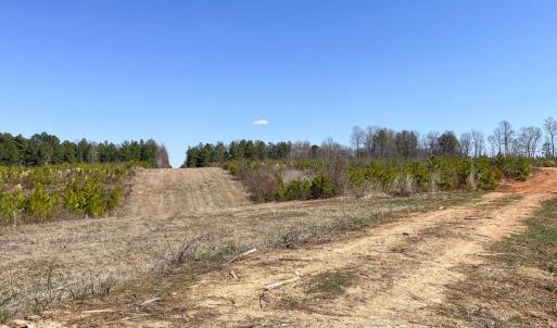 Photo #3 of YELLOWBOTTOM RD, LIGNUM, VA 115.0 acres
