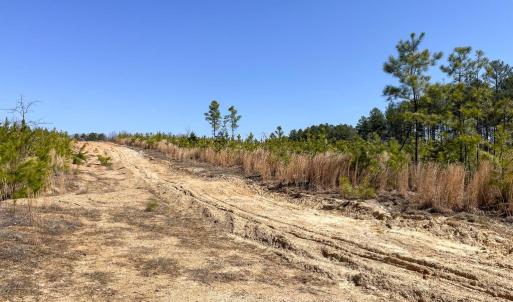 Photo #7 of YELLOWBOTTOM RD, LIGNUM, VA 115.0 acres