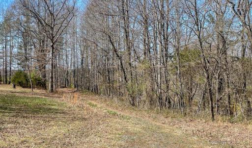 Photo #8 of YELLOWBOTTOM RD, LIGNUM, VA 115.0 acres