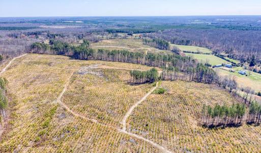 Photo #11 of YELLOWBOTTOM RD, LIGNUM, VA 115.0 acres